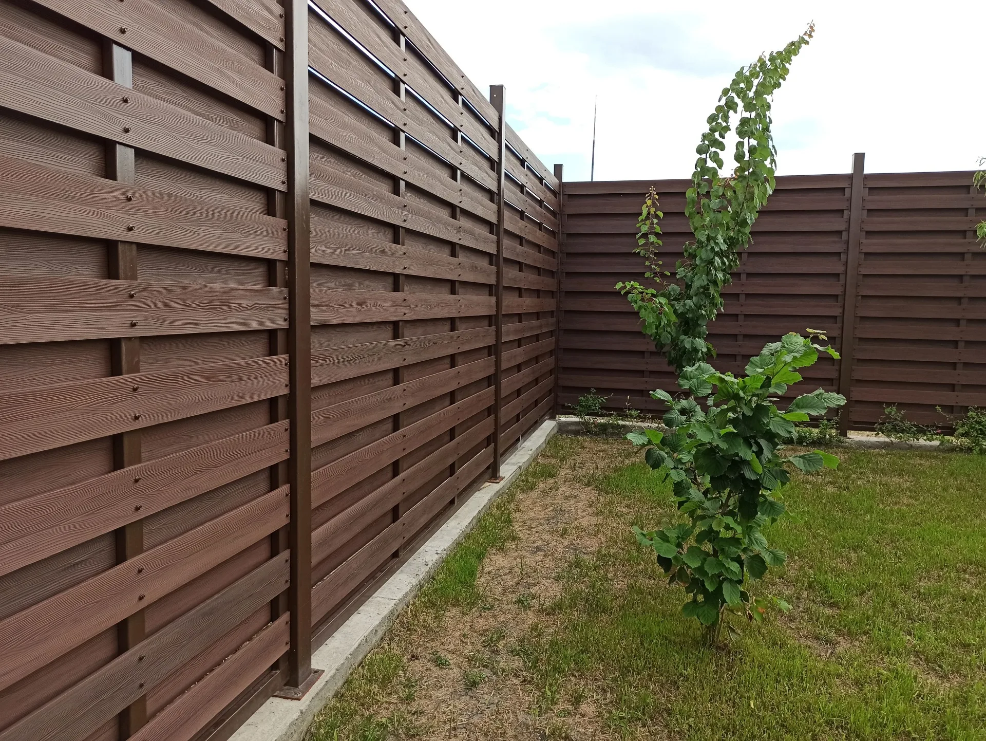 Заборная доска